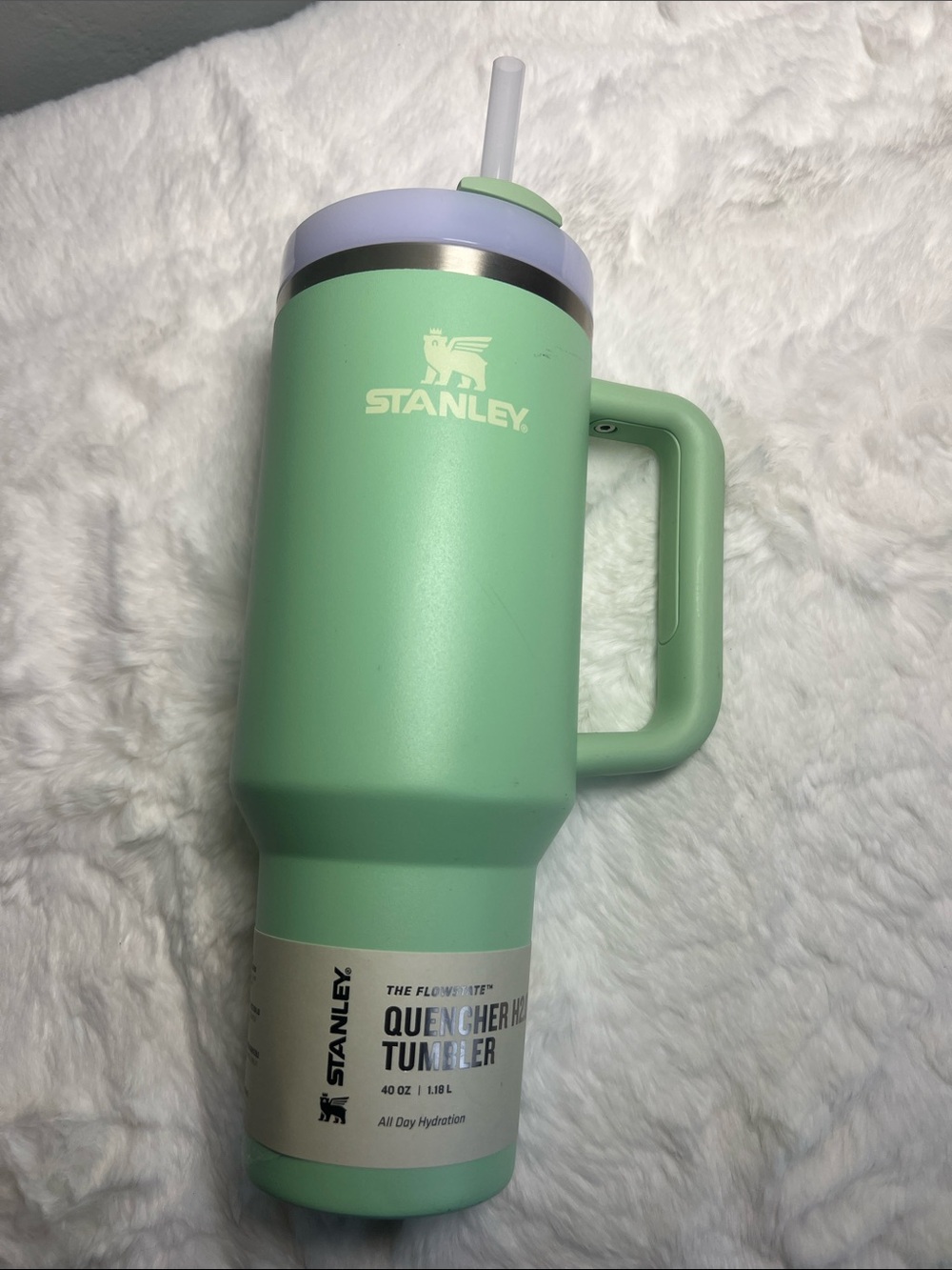 Stanley Mint Green Tumbler with White Lid and Straw